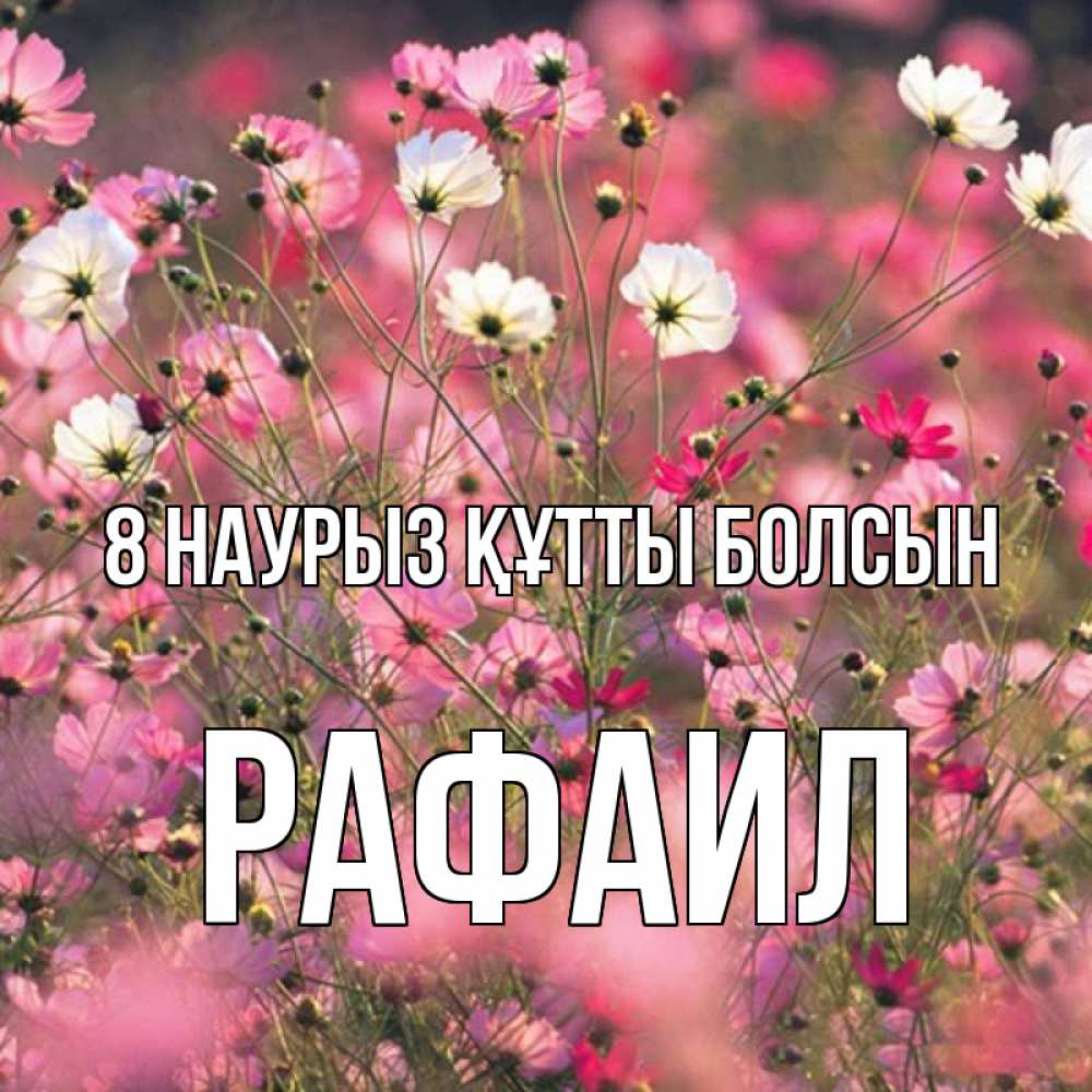 Күн сайын ашық хат с именем, Рафаил 8 наурыз құтты болсын красиво 1 Онлайн тегін жүктеп алу тілектері бар керемет карта 