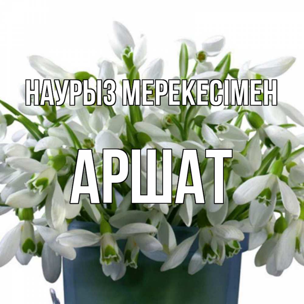 Күн сайын ашық хат с именем, АРШАТ Наурыз мерекесімен цветы к наурызу новый год в Казахстане Онлайн тегін жүктеп алу тілектері бар керемет карта 