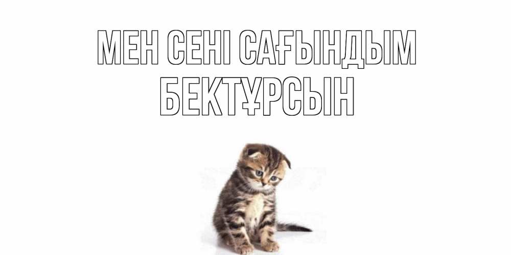 Күн сайын ашық хат с именем, Бектұрсын Мен сені сағындым кот Онлайн тегін жүктеп алу тілектері бар керемет карта 