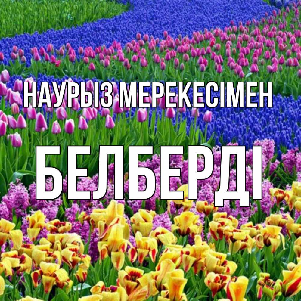 Күн сайын ашық хат с именем, Белберді Наурыз мерекесімен цветы Онлайн тегін жүктеп алу тілектері бар керемет карта 