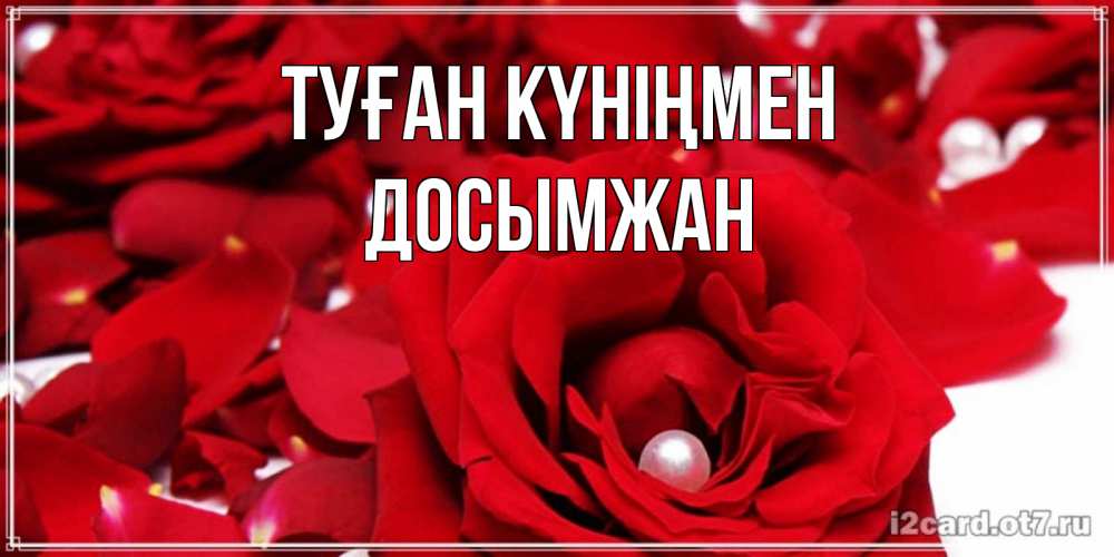 Күн сайын ашық хат с именем, Досымжан Туған күніңмен роза с жемчужиной на открытке для любимых Онлайн тегін жүктеп алу тілектері бар керемет карта 