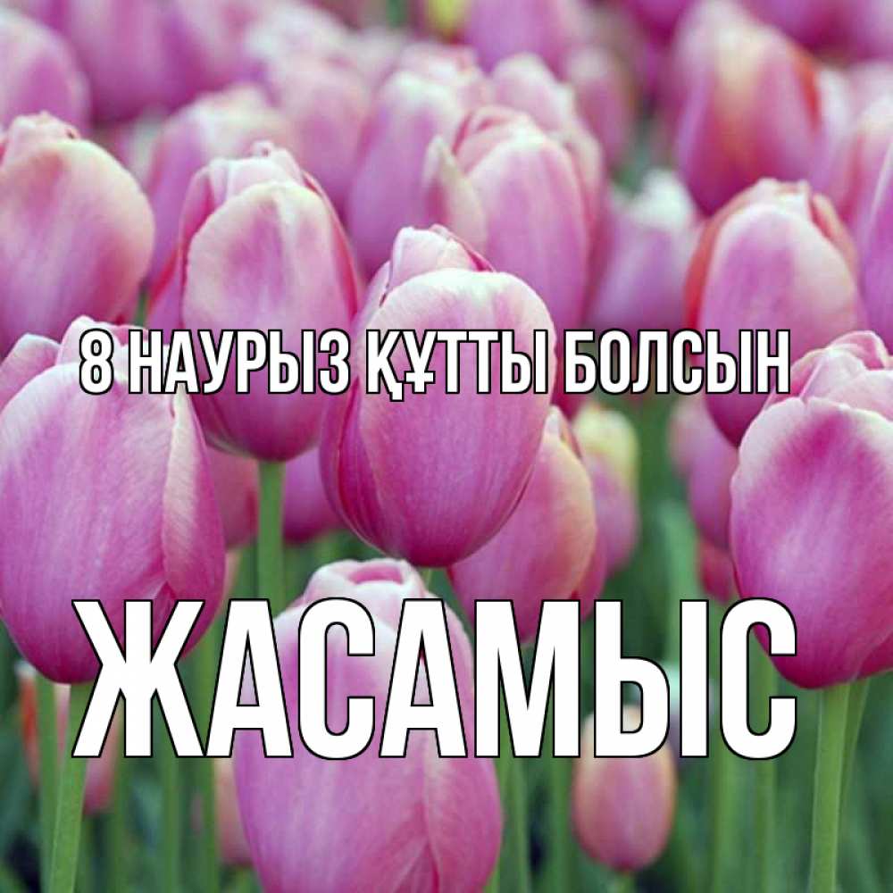 Күн сайын ашық хат с именем, Жасамыс 8 наурыз құтты болсын на международный женский день 3 Онлайн тегін жүктеп алу тілектері бар керемет карта 