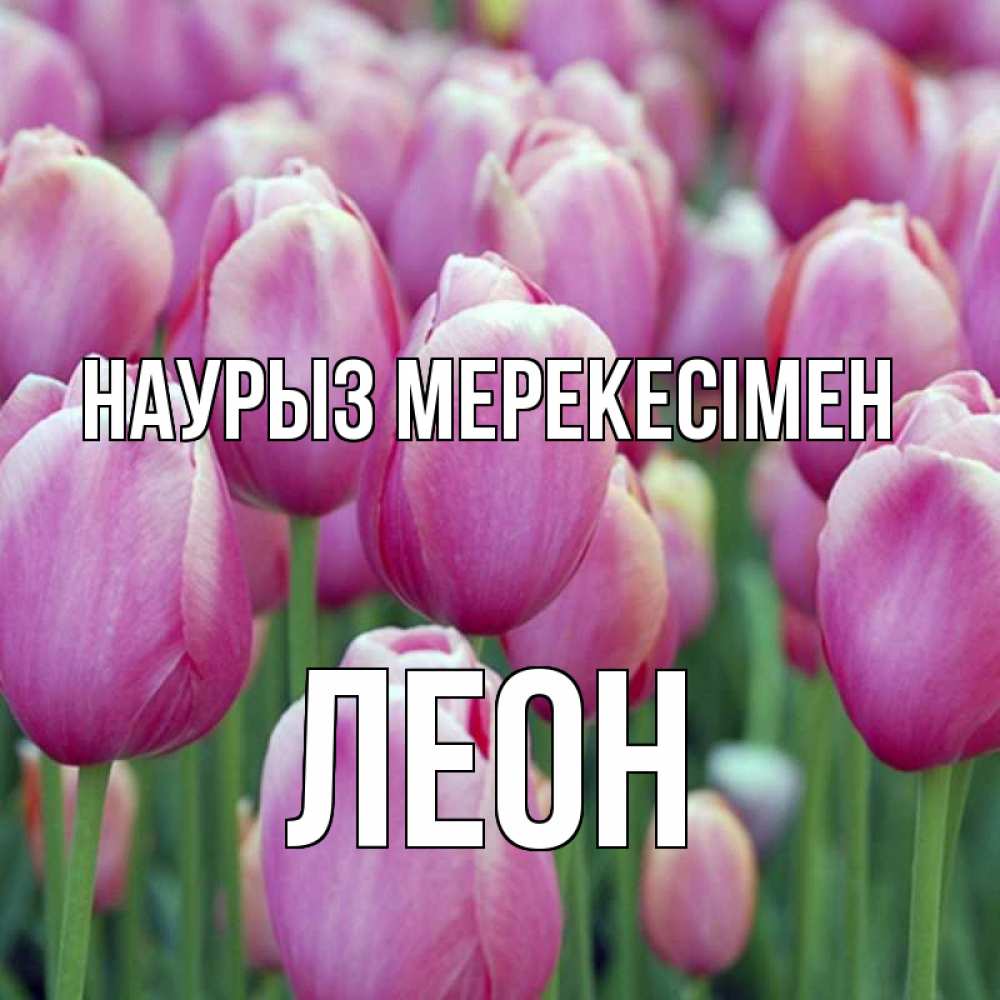 Күн сайын ашық хат с именем, Леон Наурыз мерекесімен праздник весны наурыз 69 Онлайн тегін жүктеп алу тілектері бар керемет карта 