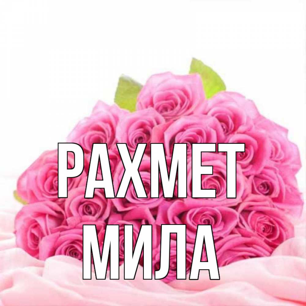Күн сайын ашық хат с именем, Мила рахмет розовые розы с подписью Онлайн тегін жүктеп алу тілектері бар керемет карта 