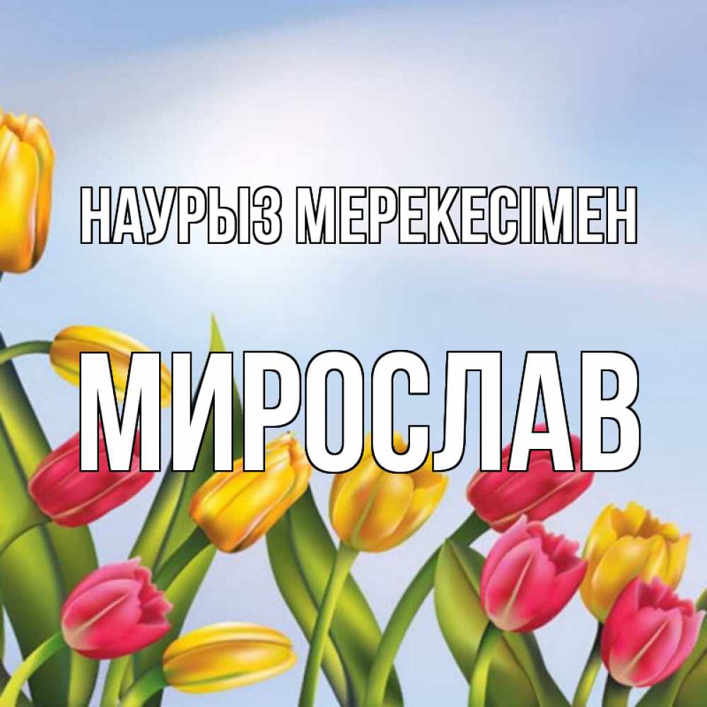 Күн сайын ашық хат с именем, Мирослав Наурыз мерекесімен праздник весны наурыз Онлайн тегін жүктеп алу тілектері бар керемет карта 