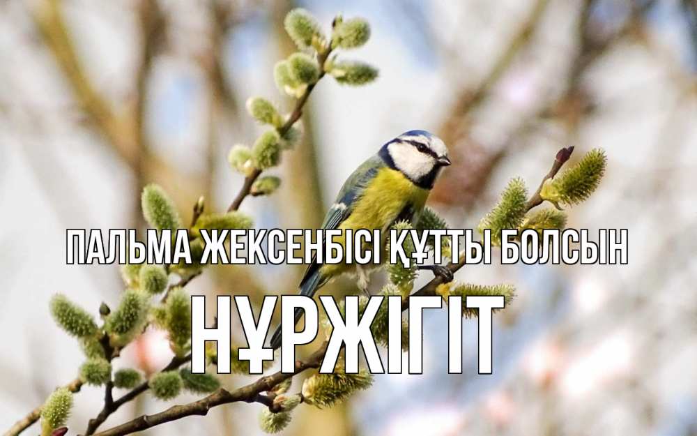 Күн сайын ашық хат с именем, НҰРЖІГІТ Пальма жексенбісі құтты болсын верба Онлайн тегін жүктеп алу тілектері бар керемет карта 