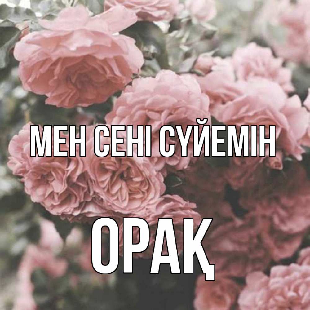 Күн сайын ашық хат с именем, ОРАҚ Мен сені сүйемін розы 3 Онлайн тегін жүктеп алу тілектері бар керемет карта 