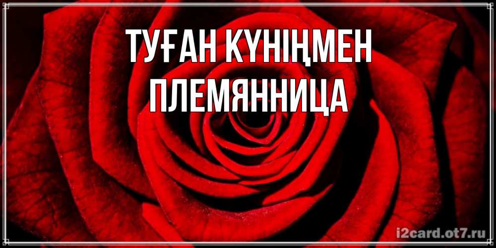 Күн сайын ашық хат с именем, Племянница Туған күніңмен алая роза Онлайн тегін жүктеп алу тілектері бар керемет карта 