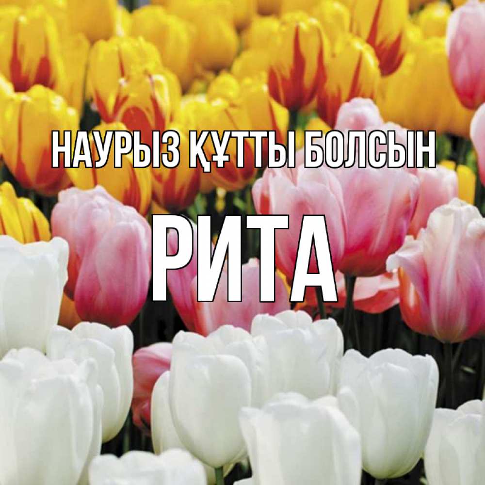 Күн сайын ашық хат с именем, Рита Наурыз құтты болсын разноцветные цветы Онлайн тегін жүктеп алу тілектері бар керемет карта 