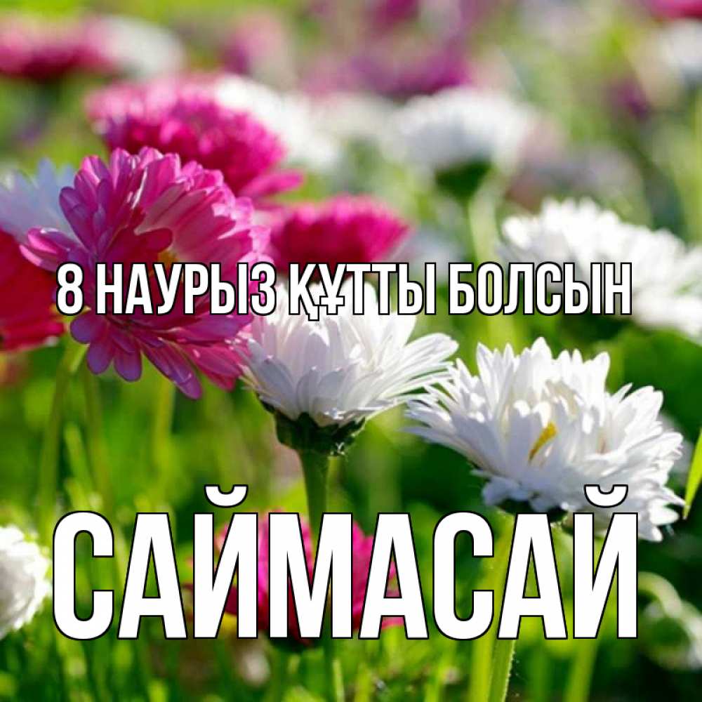 Күн сайын ашық хат с именем, САЙМАСАЙ 8 наурыз құтты болсын международный женский день 1 Онлайн тегін жүктеп алу тілектері бар керемет карта 
