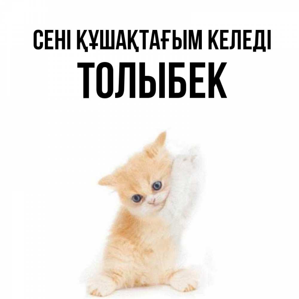 Күн сайын ашық хат с именем, ТОЛЫБЕК сені құшақтағым келеді я хочу очень скорее обнимаешек Онлайн тегін жүктеп алу тілектері бар керемет карта 
