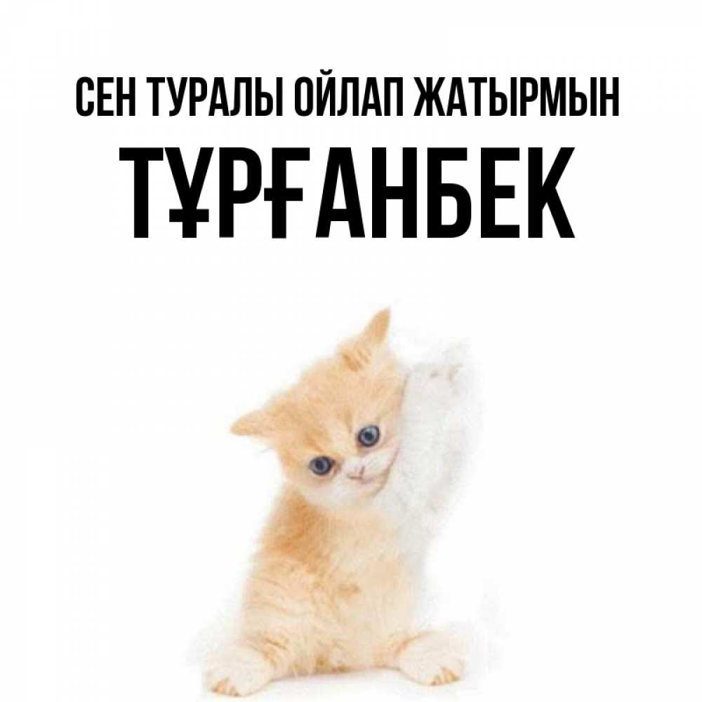 Күн сайын ашық хат с именем, ТҰРҒАНБЕК Сен туралы ойлап жатырмын зверушки и милота Онлайн тегін жүктеп алу тілектері бар керемет карта 