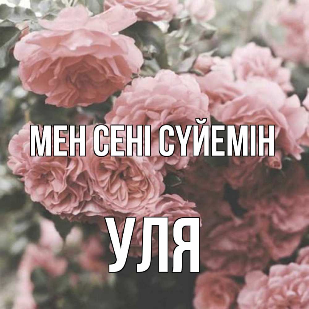 Күн сайын ашық хат с именем, Уля Мен сені сүйемін розы 3 Онлайн тегін жүктеп алу тілектері бар керемет карта 