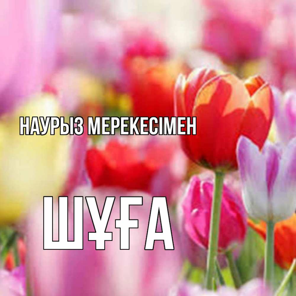 Күн сайын ашық хат с именем, ШҰҒА Наурыз мерекесімен праздник весны наурыз 67 Онлайн тегін жүктеп алу тілектері бар керемет карта 