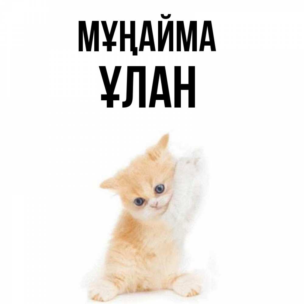 Күн сайын ашық хат с именем, ҰЛАН Мұңайма просящий кот Онлайн тегін жүктеп алу тілектері бар керемет карта 