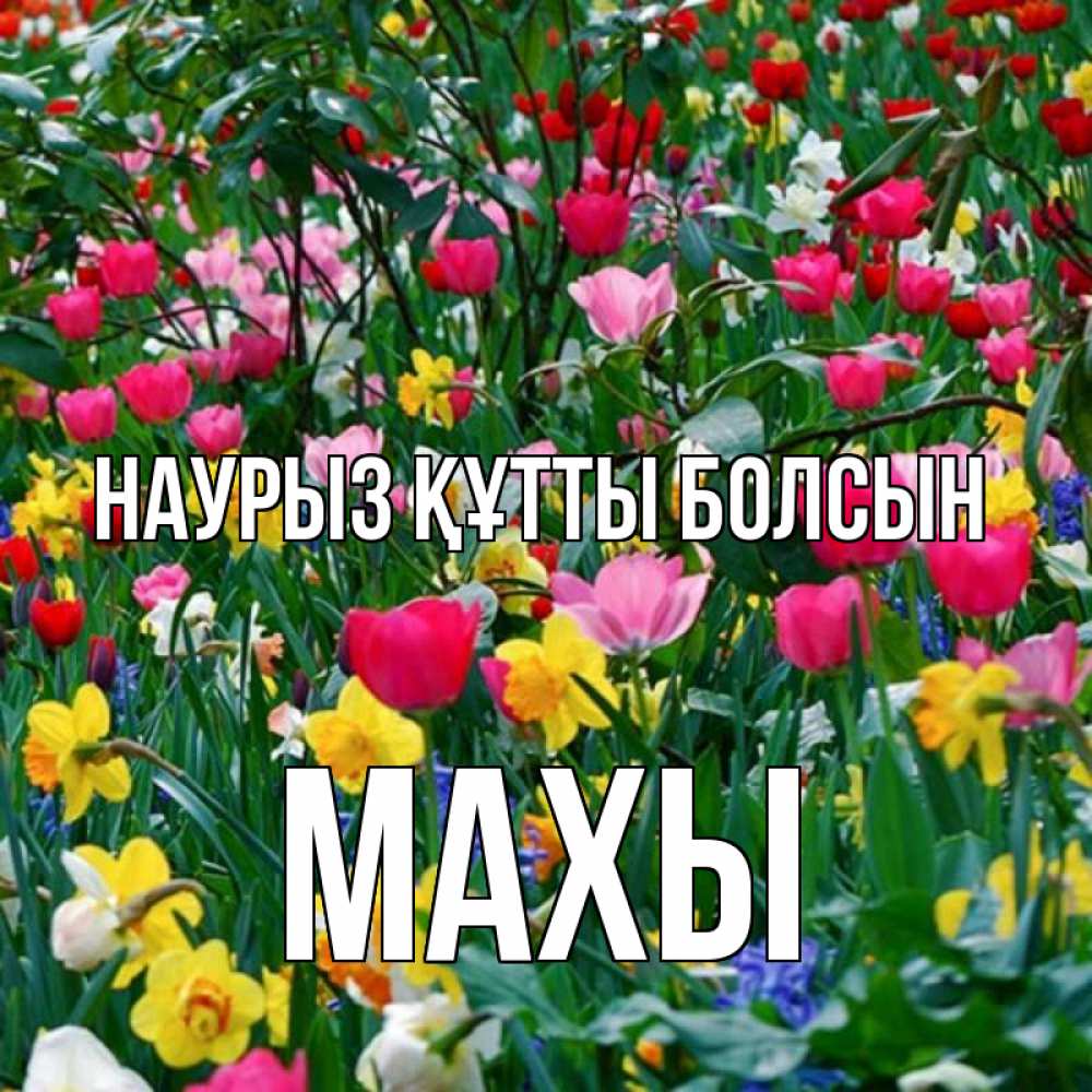 Күн сайын ашық хат с именем, МАХЫ Наурыз құтты болсын с наурызом поздравления для женщины Онлайн тегін жүктеп алу тілектері бар керемет карта 