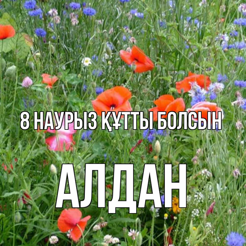 Күн сайын ашық хат с именем, Алдан 8 наурыз құтты болсын международный женский день 4 Онлайн тегін жүктеп алу тілектері бар керемет карта 