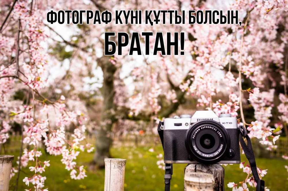 Күн сайын ашық хат с именем, Братан Фотограф күні құтты болсын сирень с днем фотографа, фотоаппарат Онлайн тегін жүктеп алу тілектері бар керемет карта 