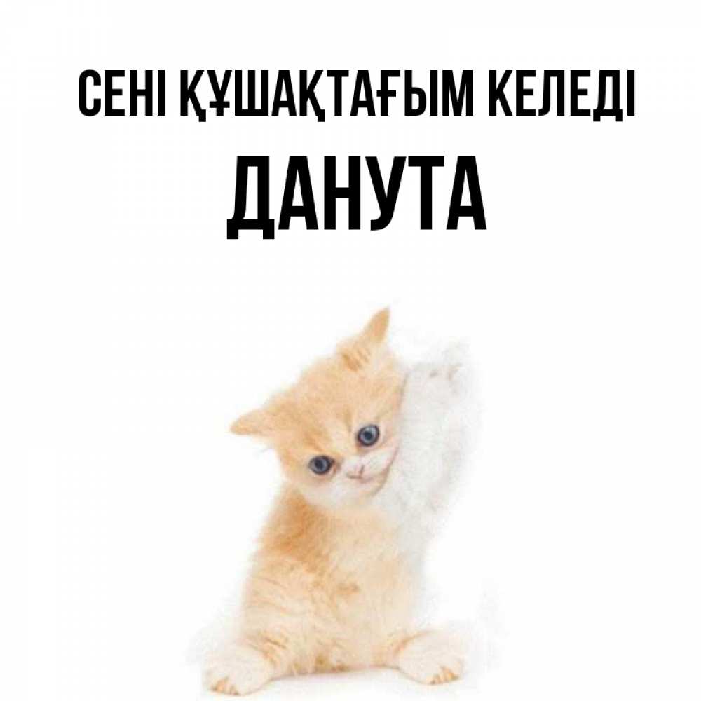 Күн сайын ашық хат с именем, Данута сені құшақтағым келеді я хочу очень скорее обнимаешек Онлайн тегін жүктеп алу тілектері бар керемет карта 