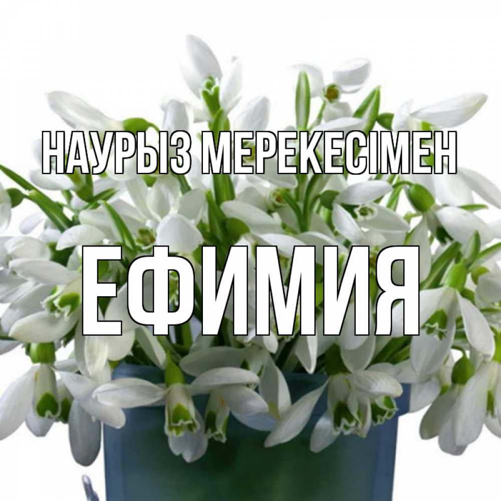 Күн сайын ашық хат с именем, Ефимия Наурыз мерекесімен цветы к наурызу новый год в Казахстане Онлайн тегін жүктеп алу тілектері бар керемет карта 