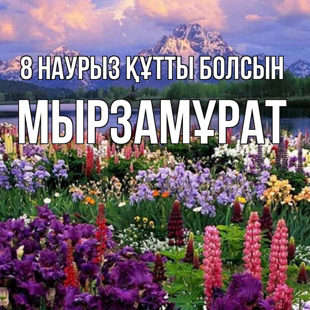 Күн сайын ашық хат с именем, Мырзамұрат 8 наурыз құтты болсын международный женский день Онлайн тегін жүктеп алу тілектері бар керемет карта 