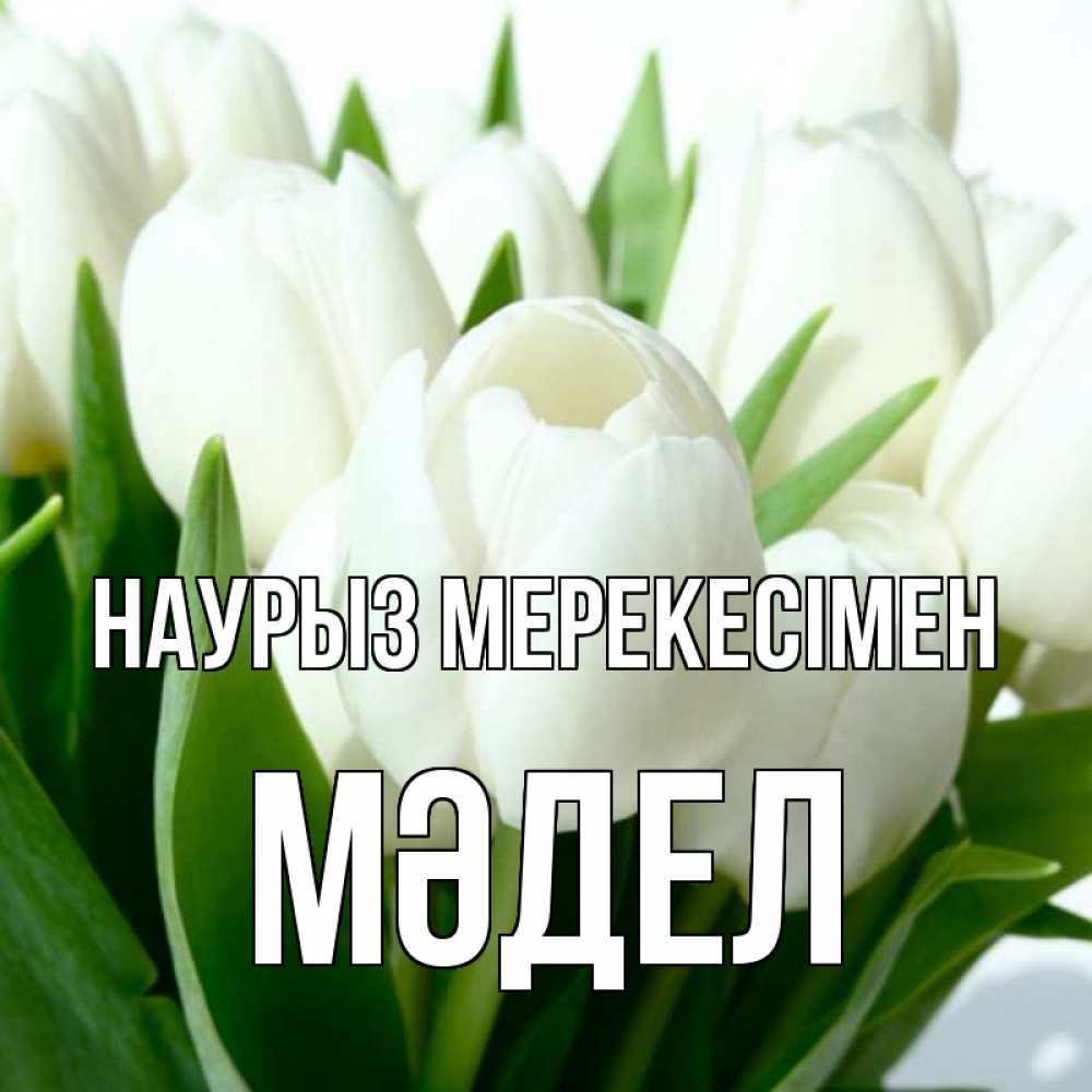 Күн сайын ашық хат с именем, МӘДЕЛ Наурыз мерекесімен цветы Онлайн тегін жүктеп алу тілектері бар керемет карта 