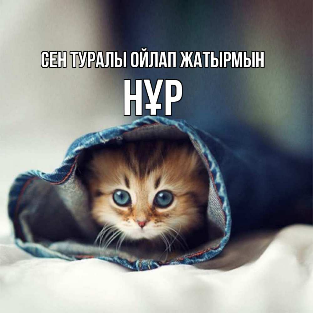 Күн сайын ашық хат с именем, НҰР Сен туралы ойлап жатырмын мне без тебя плохо Онлайн тегін жүктеп алу тілектері бар керемет карта 