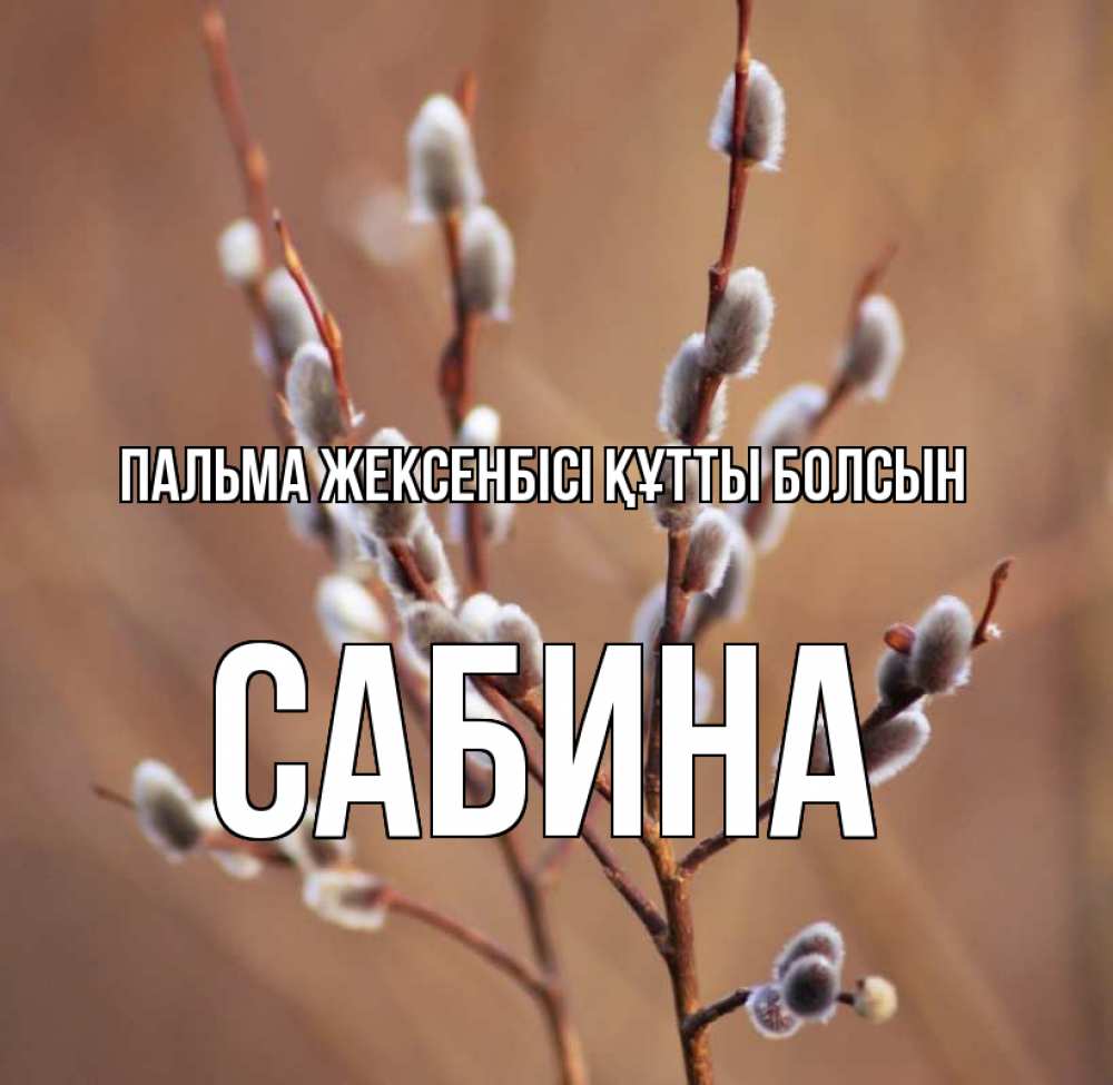Күн сайын ашық хат с именем, Сабина Пальма жексенбісі құтты болсын верба Онлайн тегін жүктеп алу тілектері бар керемет карта 