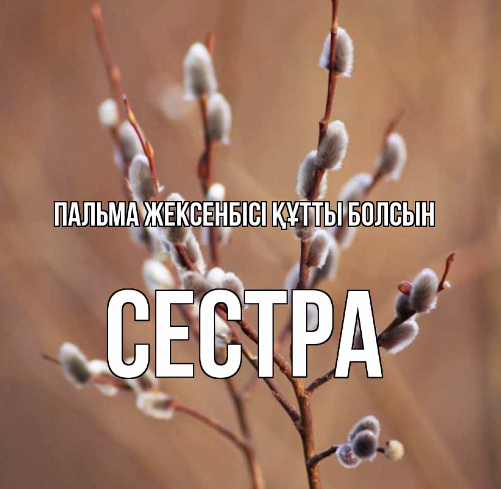 Күн сайын ашық хат с именем, Сестра Пальма жексенбісі құтты болсын верба Онлайн тегін жүктеп алу тілектері бар керемет карта 