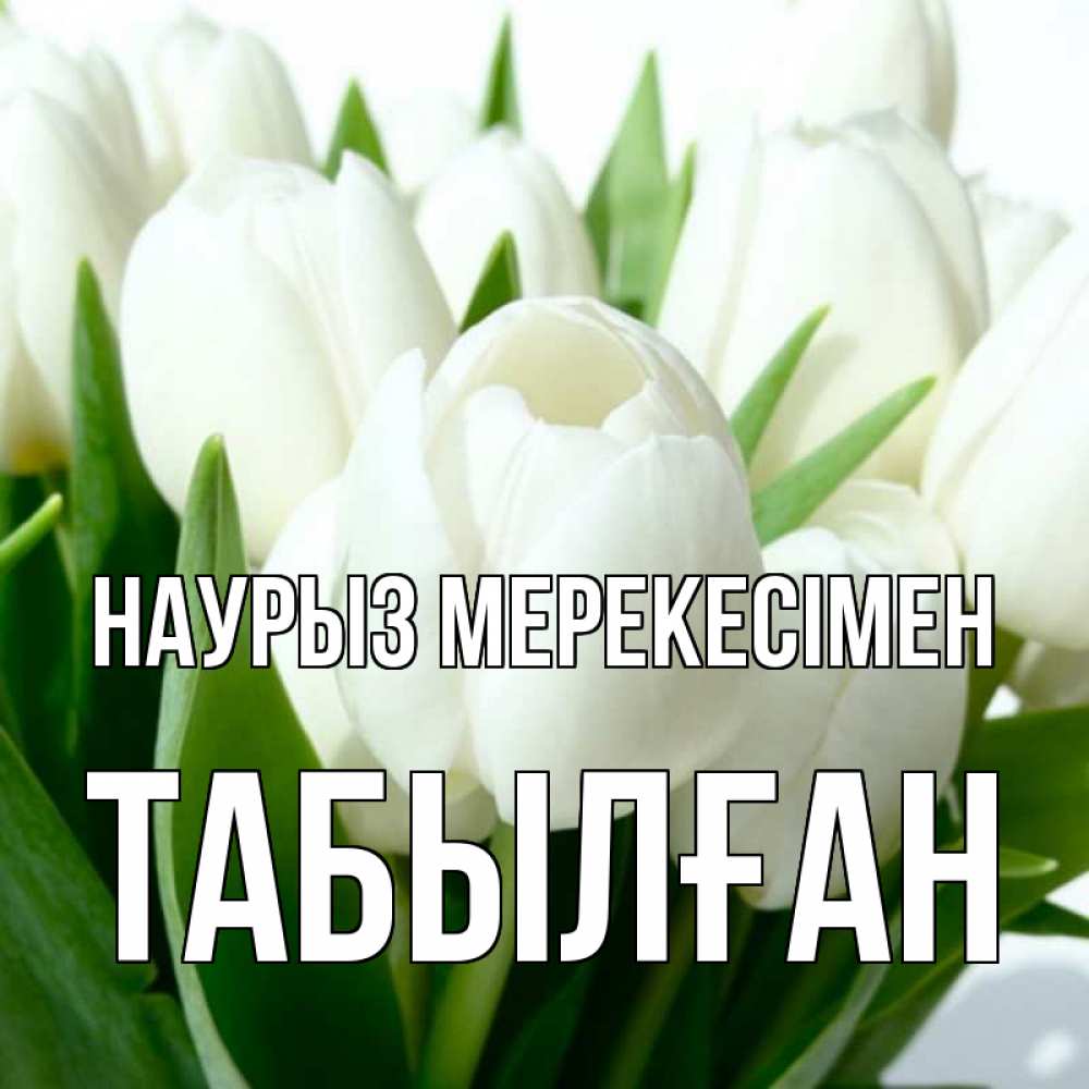 Күн сайын ашық хат с именем, ТАБЫЛҒАН Наурыз мерекесімен цветы Онлайн тегін жүктеп алу тілектері бар керемет карта 