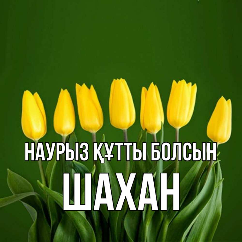 Күн сайын ашық хат с именем, ШАХАН Наурыз құтты болсын желтого цвета 3 Онлайн тегін жүктеп алу тілектері бар керемет карта 