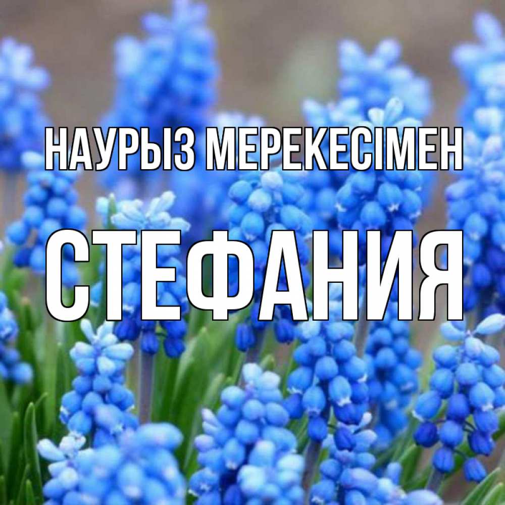 Күн сайын ашық хат с именем, Стефания Наурыз мерекесімен Поздравительная открытка для женщин с цветами на праздничную дату Онлайн тегін жүктеп алу тілектері бар керемет карта 