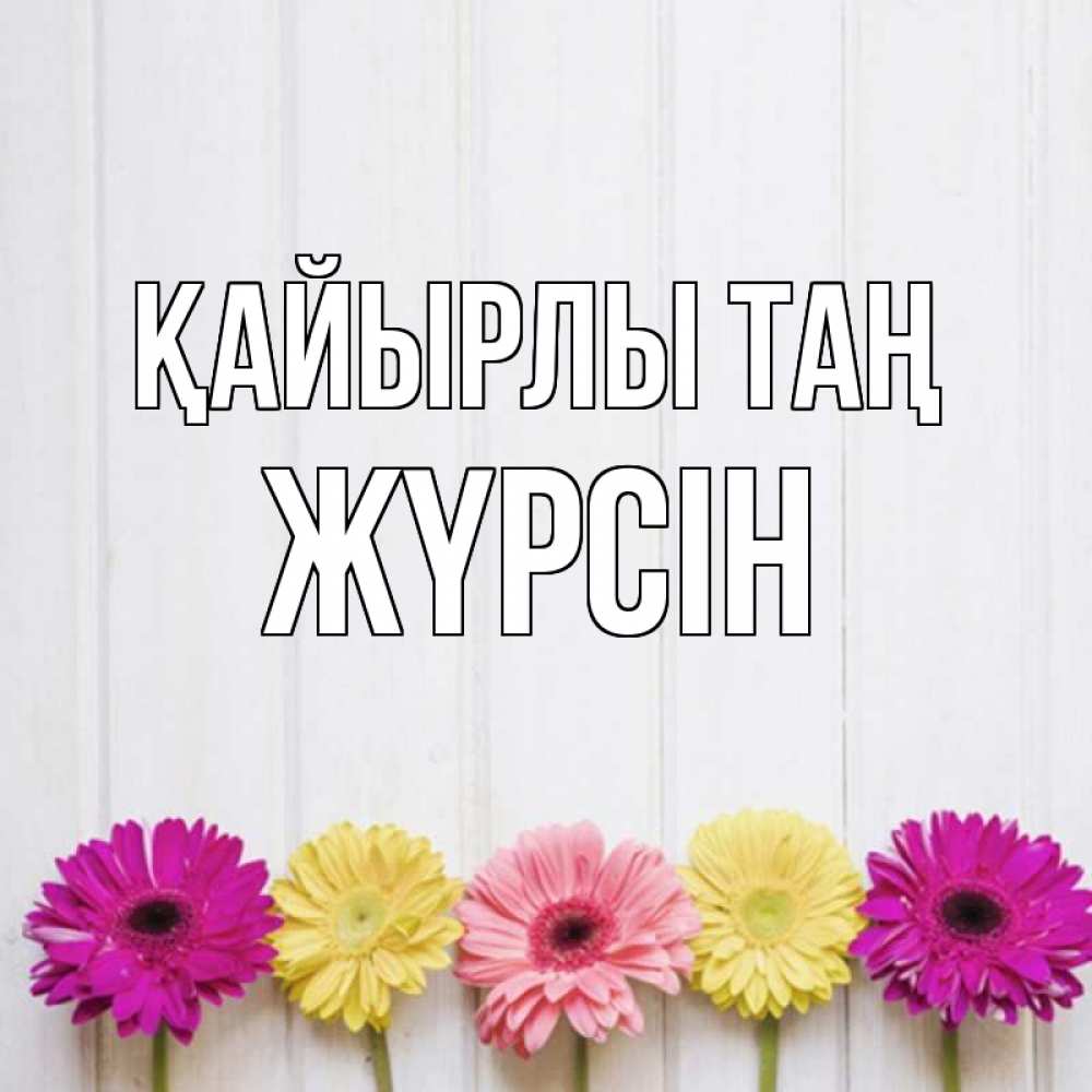 Күн сайын ашық хат с именем, Жүрсін Қайырлы таң красный желтый и розовый цветок Онлайн тегін жүктеп алу тілектері бар керемет карта 