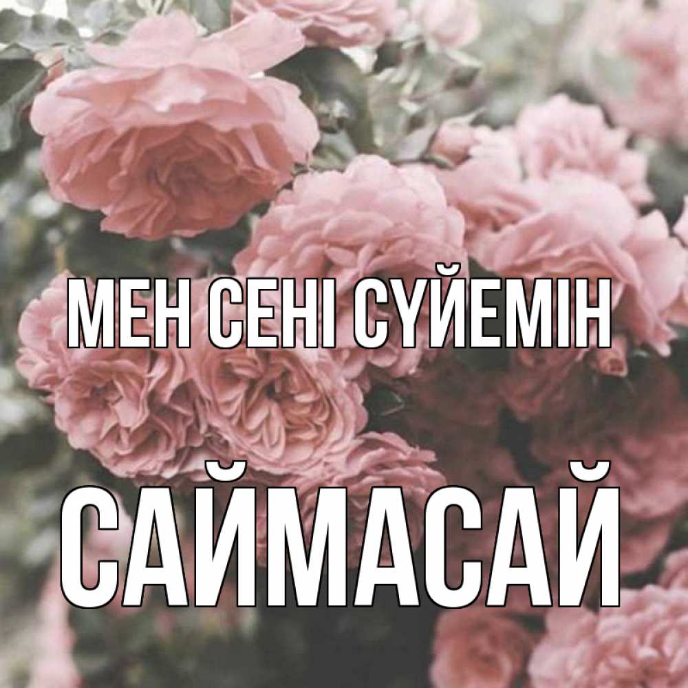 Күн сайын ашық хат с именем, САЙМАСАЙ Мен сені сүйемін розы 3 Онлайн тегін жүктеп алу тілектері бар керемет карта 