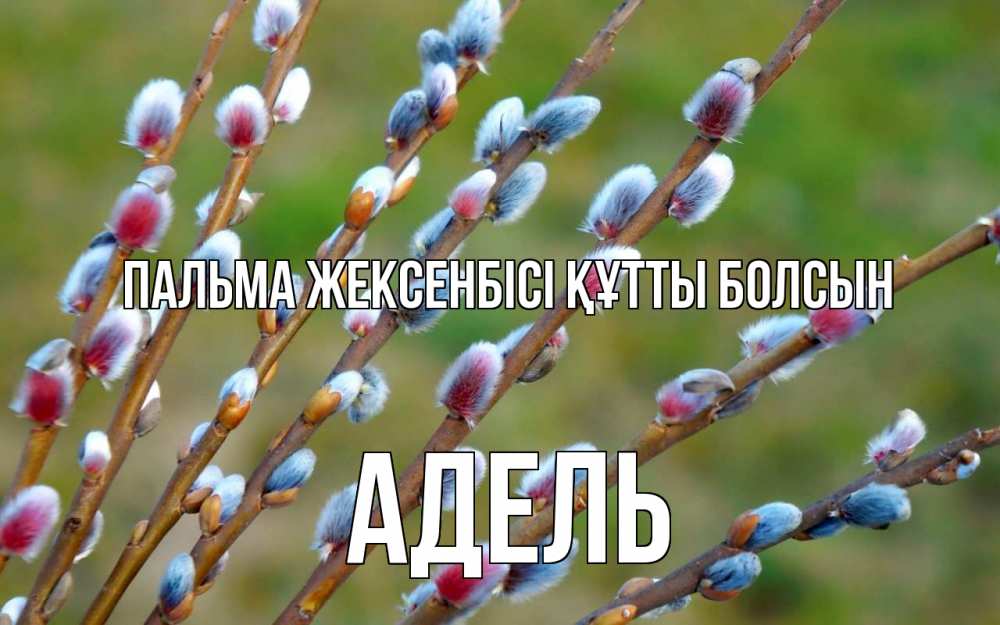 Картинка Пальма жексенбісі құтты болсын, Адель