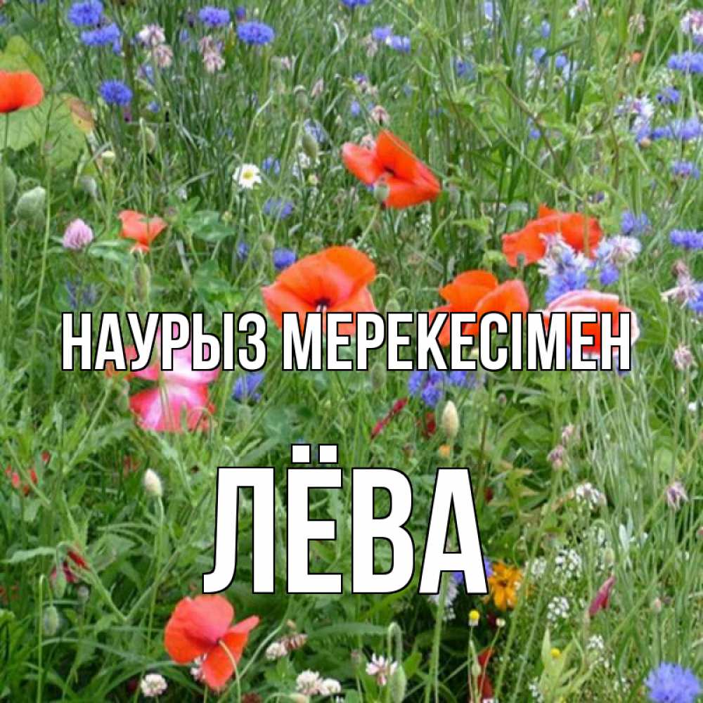 Күн сайын ашық хат с именем, Лёва Наурыз мерекесімен праздник весны наурыз супер открытка Онлайн тегін жүктеп алу тілектері бар керемет карта 