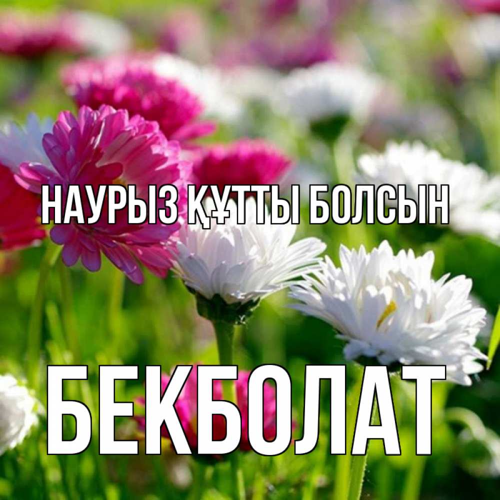 Күн сайын ашық хат с именем, Бекболат Наурыз құтты болсын наурыз Онлайн тегін жүктеп алу тілектері бар керемет карта 