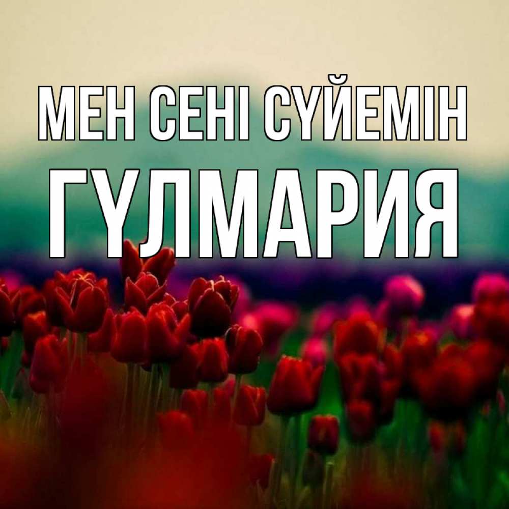 Күн сайын ашық хат с именем, ГҮЛМАРИЯ Мен сені сүйемін тюльпаны 4 Онлайн тегін жүктеп алу тілектері бар керемет карта 