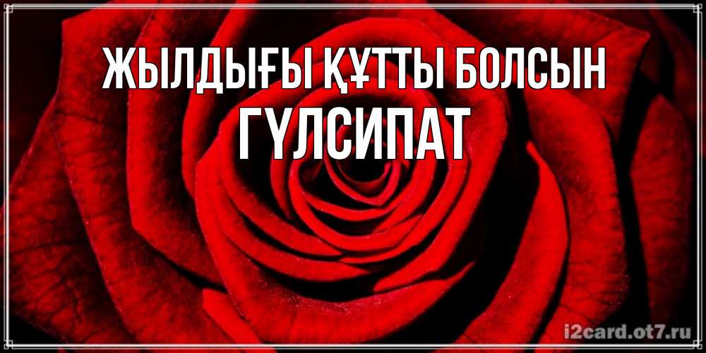 Күн сайын ашық хат с именем, ГҮЛСИПАТ Жылдығы құтты болсын алая роза Онлайн тегін жүктеп алу тілектері бар керемет карта 