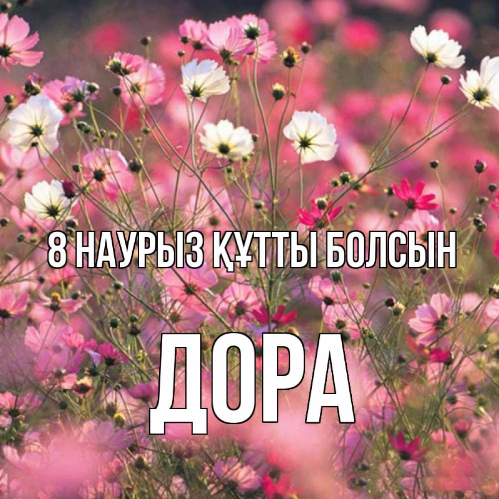 Күн сайын ашық хат с именем, Дора 8 наурыз құтты болсын красиво 1 Онлайн тегін жүктеп алу тілектері бар керемет карта 