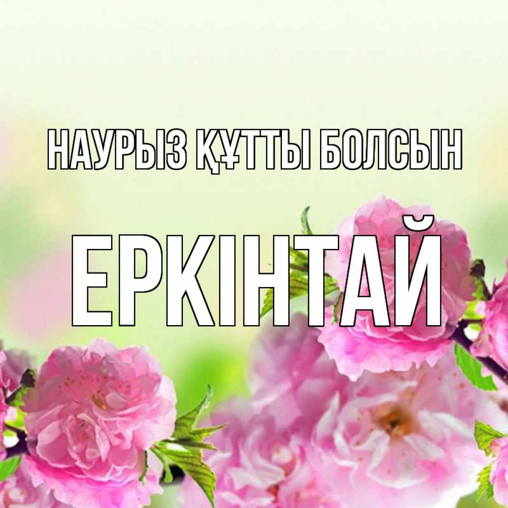 Күн сайын ашық хат с именем, Еркінтай Наурыз құтты болсын цветы Онлайн тегін жүктеп алу тілектері бар керемет карта 