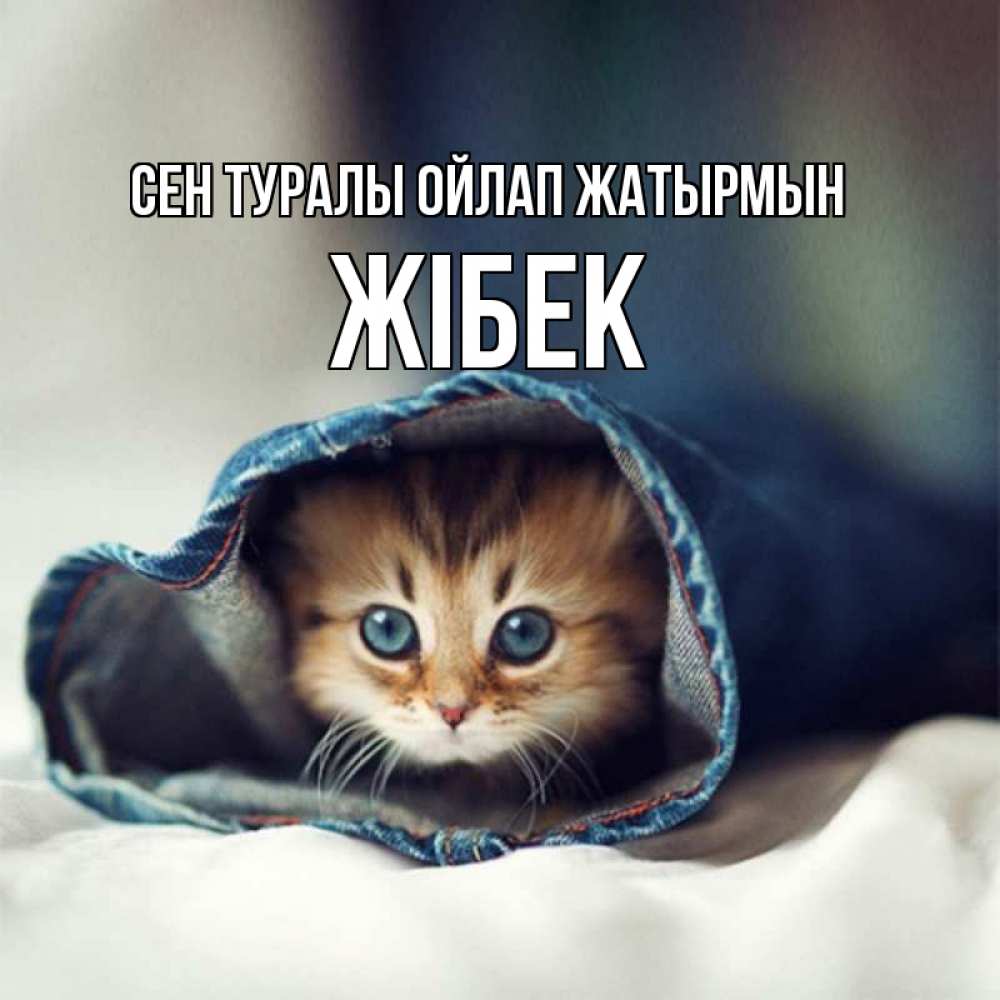 Күн сайын ашық хат с именем, ЖІБЕК Сен туралы ойлап жатырмын мне без тебя плохо Онлайн тегін жүктеп алу тілектері бар керемет карта 