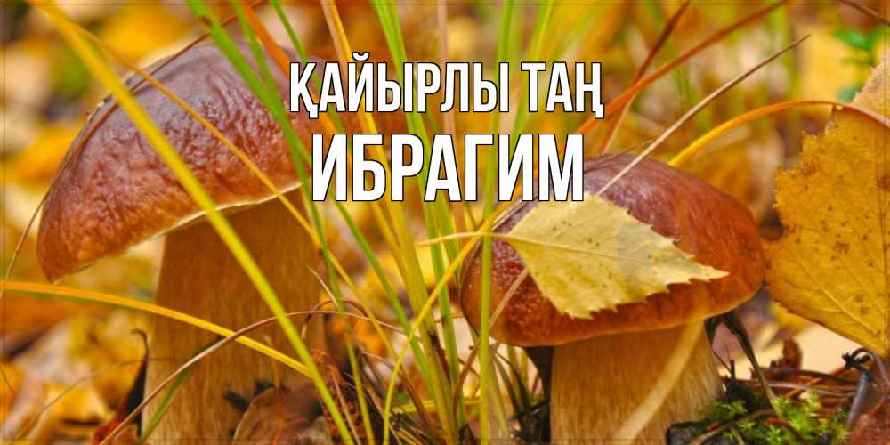 Күн сайын ашық хат с именем, Ибрагим Қайырлы таң осенние грибы Онлайн тегін жүктеп алу тілектері бар керемет карта 