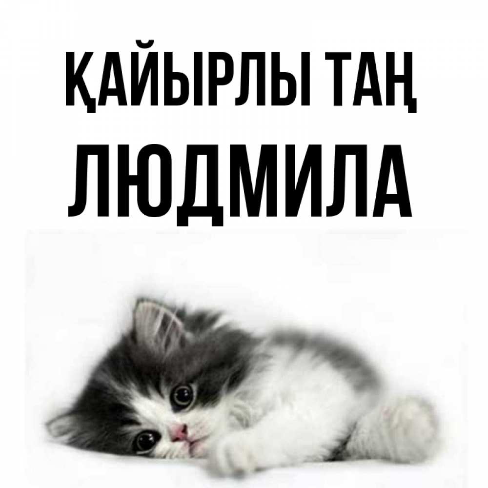 Күн сайын ашық хат с именем, Людмила Қайырлы таң кот лапки Онлайн тегін жүктеп алу тілектері бар керемет карта 