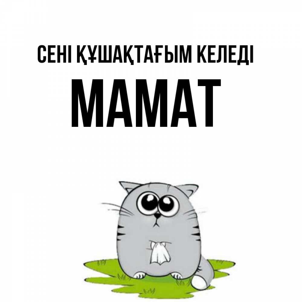 Күн сайын ашық хат с именем, МАМАТ сені құшақтағым келеді котик теребит платочек сидя на травке Онлайн тегін жүктеп алу тілектері бар керемет карта 