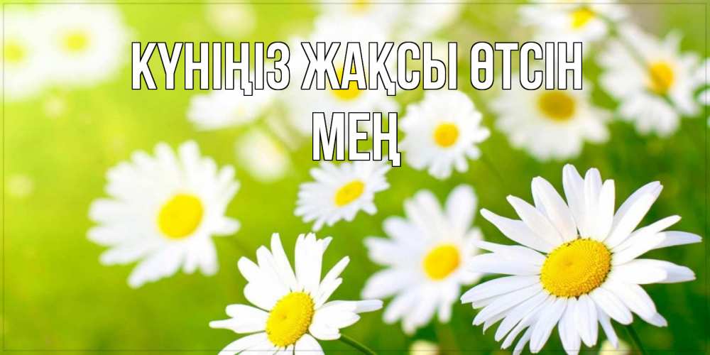 Күн сайын ашық хат с именем, МЕҢ Күніңіз жақсы өтсін открытка с ромашками на зеленом фоне Онлайн тегін жүктеп алу тілектері бар керемет карта 