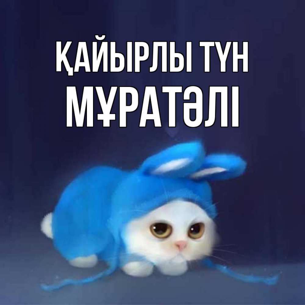 Күн сайын ашық хат с именем, Мұратәлі Қайырлы түн кот в голубом костюме кролика с ушками Онлайн тегін жүктеп алу тілектері бар керемет карта 