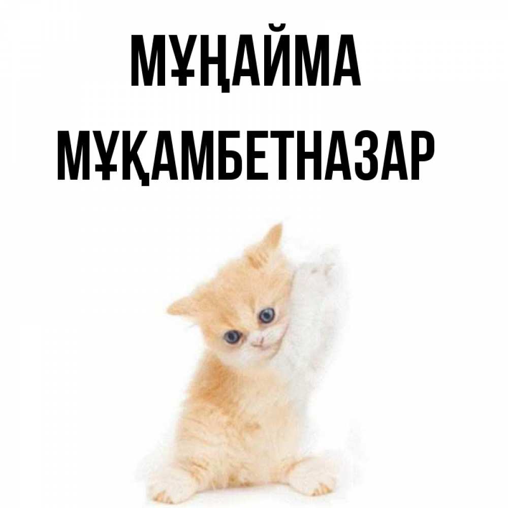 Күн сайын ашық хат с именем, Мұқамбетназар Мұңайма просящий кот Онлайн тегін жүктеп алу тілектері бар керемет карта 
