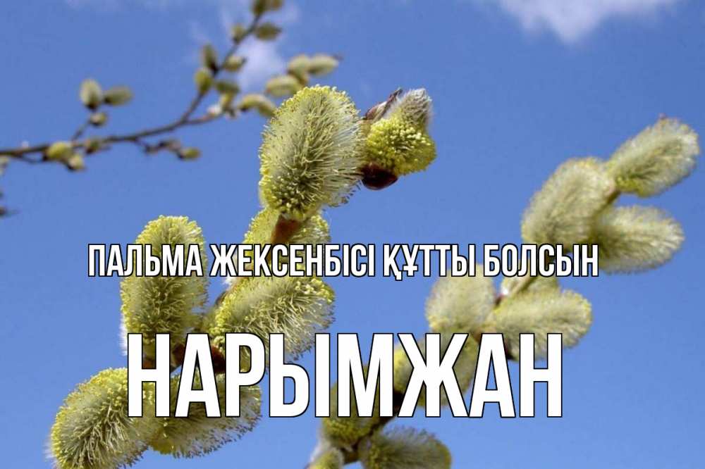 Күн сайын ашық хат с именем, НАРЫМЖАН Пальма жексенбісі құтты болсын верба Онлайн тегін жүктеп алу тілектері бар керемет карта 