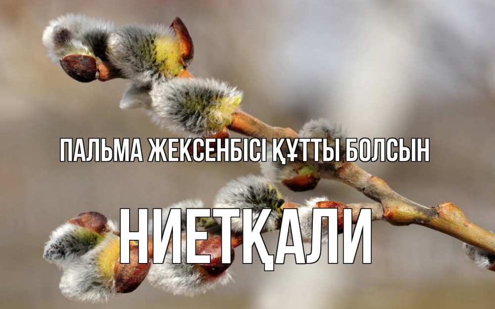 Күн сайын ашық хат с именем, НИЕТҚАЛИ Пальма жексенбісі құтты болсын Верба Онлайн тегін жүктеп алу тілектері бар керемет карта 
